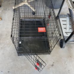 medium sized dog kennel