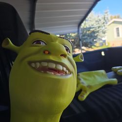 Shrek Mask And Gloves