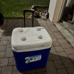 Square Cooler! Igloo! $50 OBO