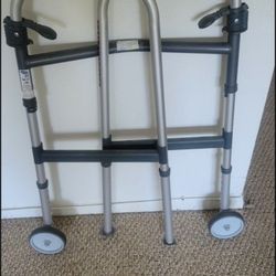 Support Walker 