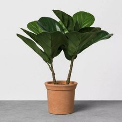 Hearth & Hand with Magnolia Faux Fiddle Leaf Fig Plant In Teracotta Pot