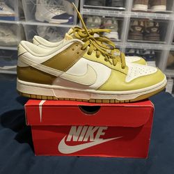 Sz 11 Curry Nike Dunk $50 FIRM NO TRADES