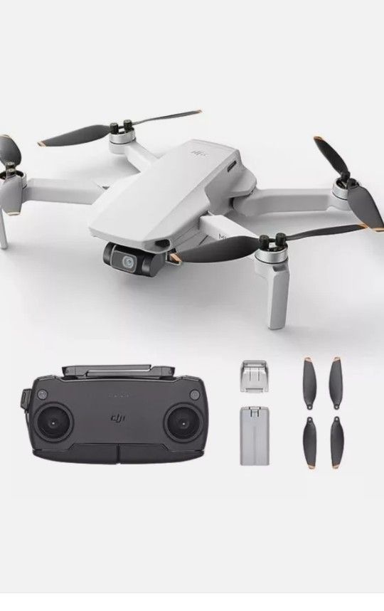 Mavic Mini Drone