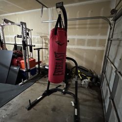 Punching Bag And Stand