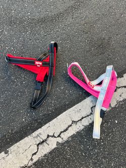 Dog Harness
