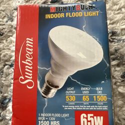 Various Light Bulbs And Flood Lights