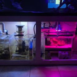 Aquarium Equipment And Rock