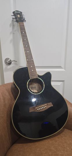 Guitar Case Ibanez AEG10-BK-14-03 Black