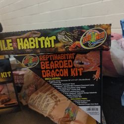 A Bearded Dragon Habitat With All Accessories