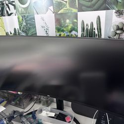 LG Monitor 