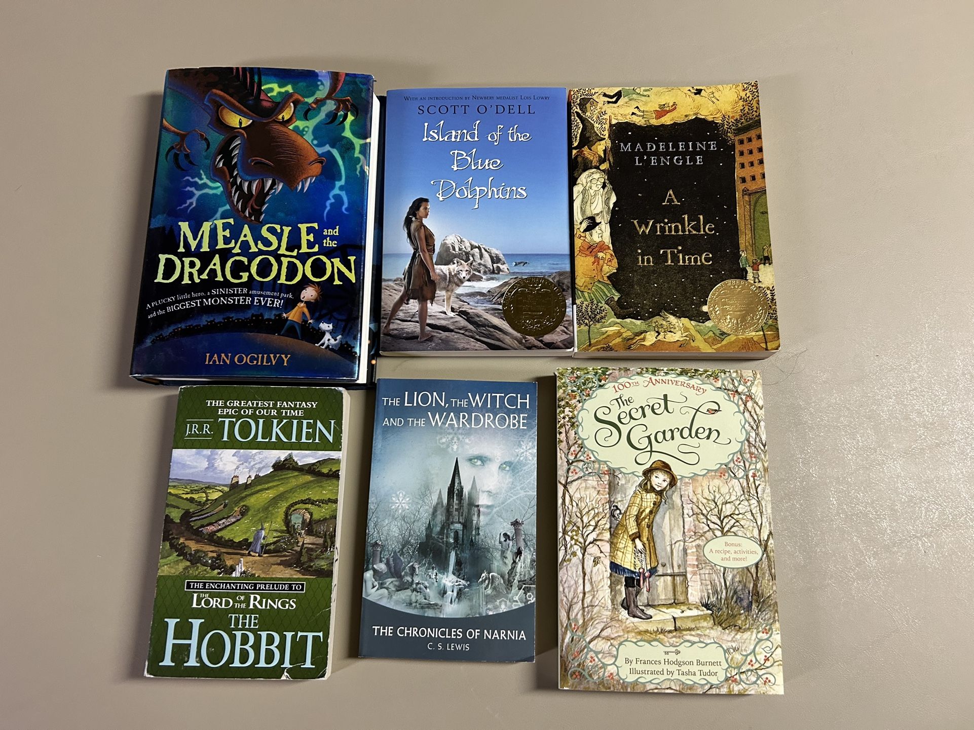 Children's fantasy genre novels bundle