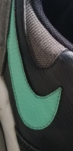 NIKE SB size 9