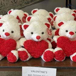 Valentines Big Teddy Bear