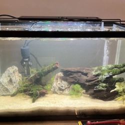 10 gal fish tanks. Asking 15 each   *******Tanks only 