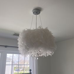 White Feather And Crystal Ceiling Fixture