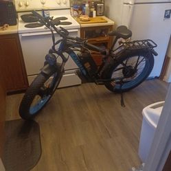 Electric Bike 