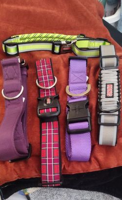 Large dog collars.