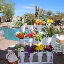 Flower Display Stand