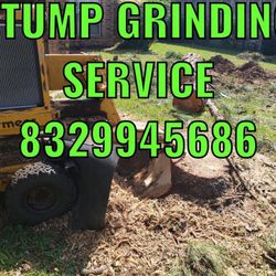 Stump Grinding 