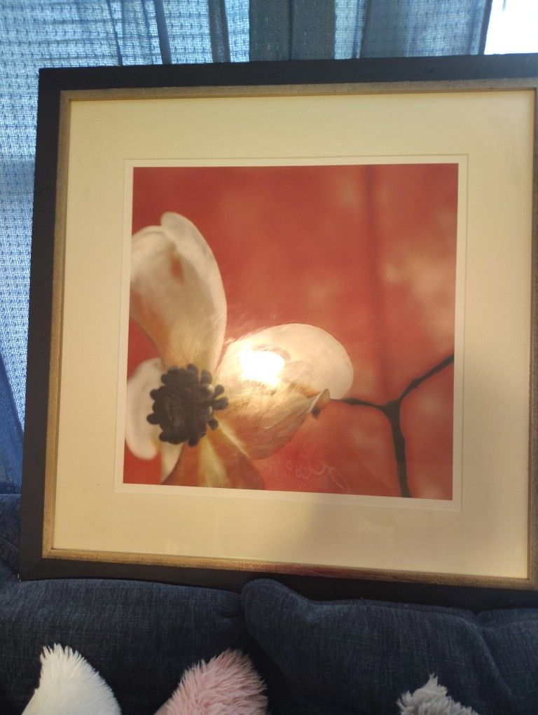 A BEAUTIFUL GLASS FLOWER ORANGE PICTURE SOHO ART