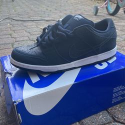 Nike Sb Low Pasport US Size 11