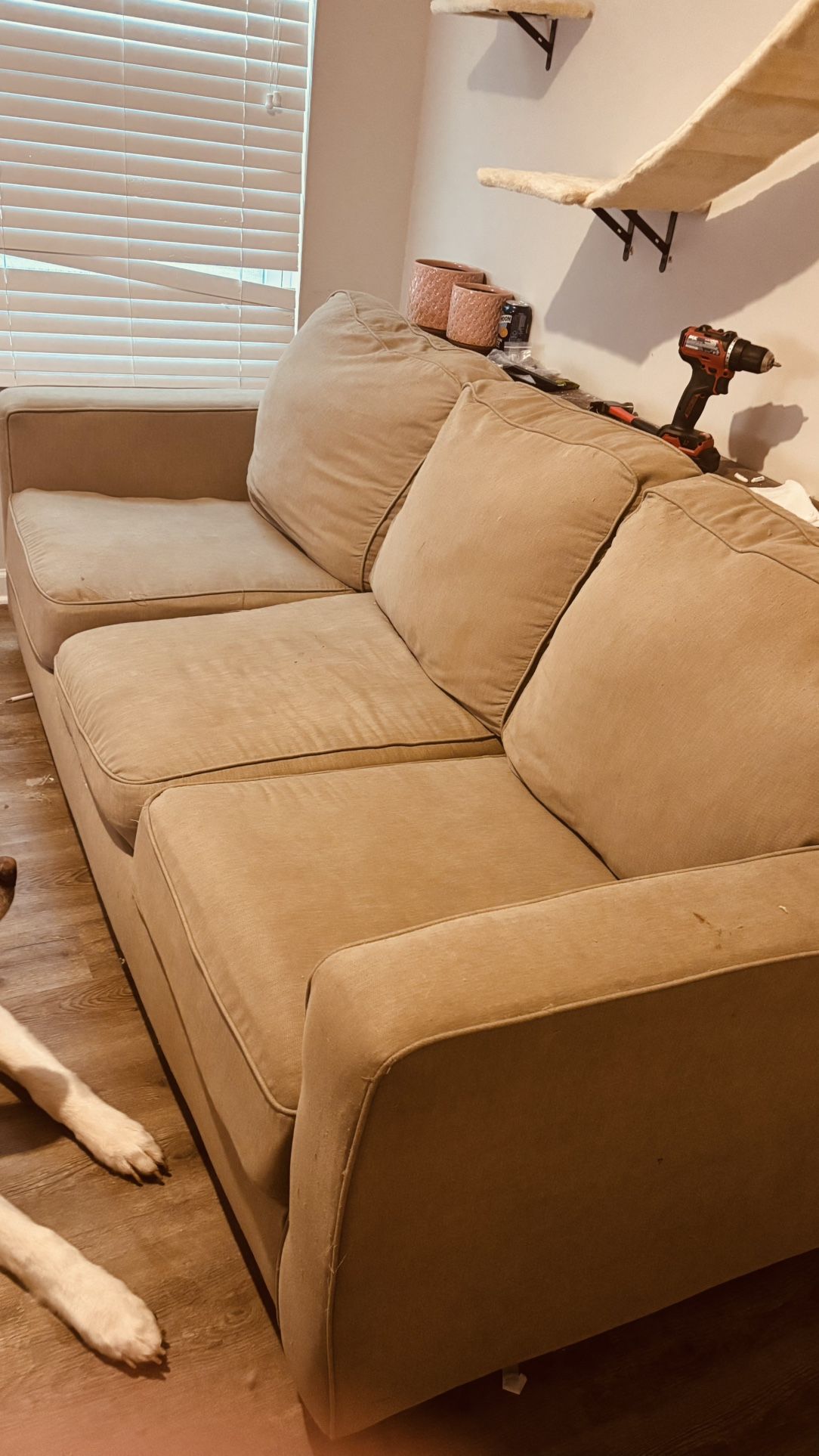 Pull out Couch w/ Power Shelf
