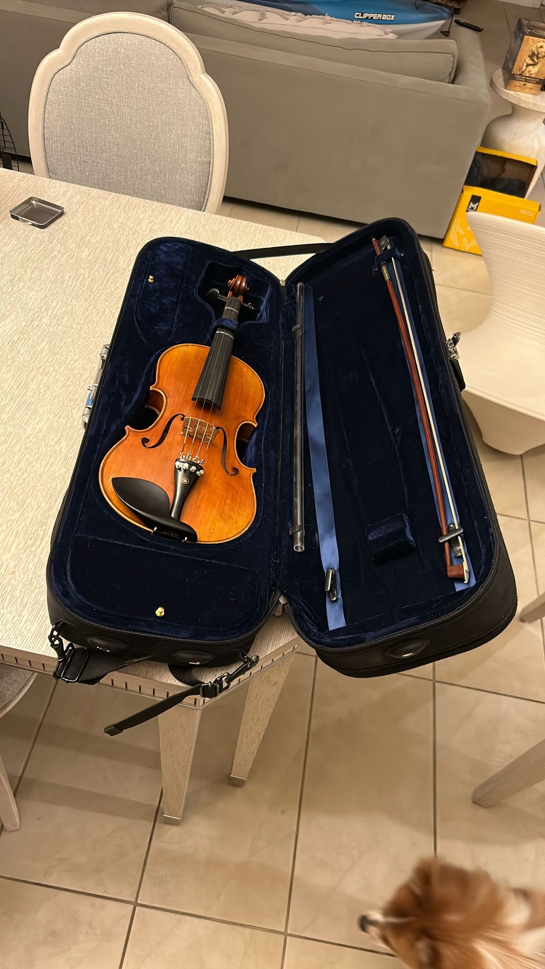 Violin