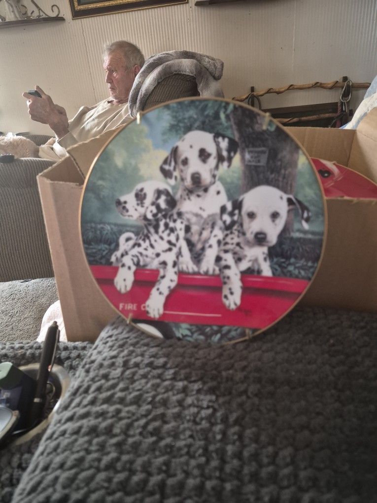 This Is A Collection Plate.  It Said On The Back Three Alarm Five 