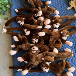 Monkeys and hanging vines!