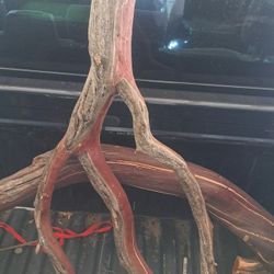 Natural Manzanita Wood - Aquarium & Reptile Safe
Manzanita Driftwood Branches - Aquascape/Terrarium
Hardwood Manzanita Branches (Perfect for Art/Pets)