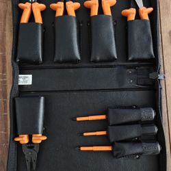 Klein Tools Professional 1000V Insulated Tool Kit