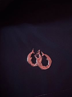 Dolphin earrings