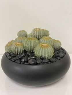 Artificial Cactus Bundle