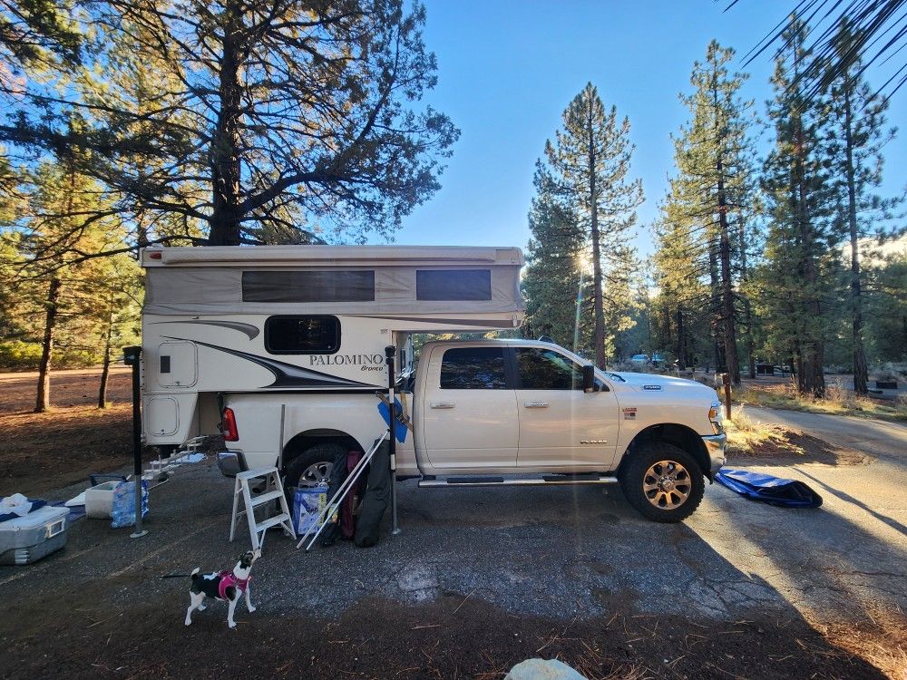 2012 Forest River Palamino Bronco