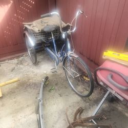 Schwinn Town And Country 