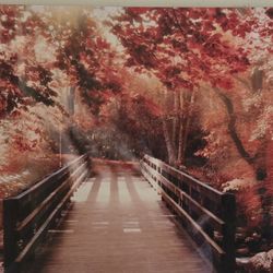 Canvas Wall Art Landscape