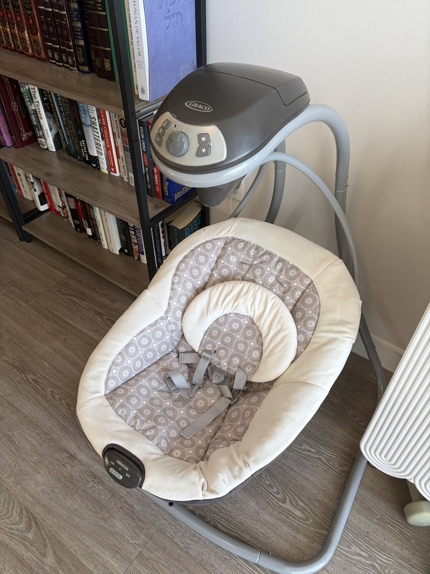 Graco Baby Swing