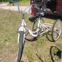 3 Wheel Bike