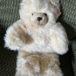 Hollywood Casino Bear