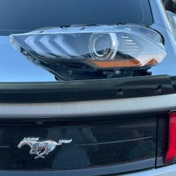 OEM  Mustang head Light 