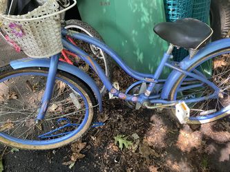 Raleigh Childrens Bike