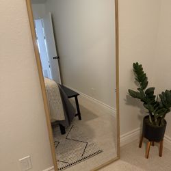 Mirror