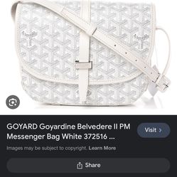Goyard Bag 