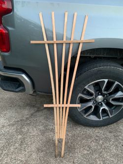 Trellis for plants