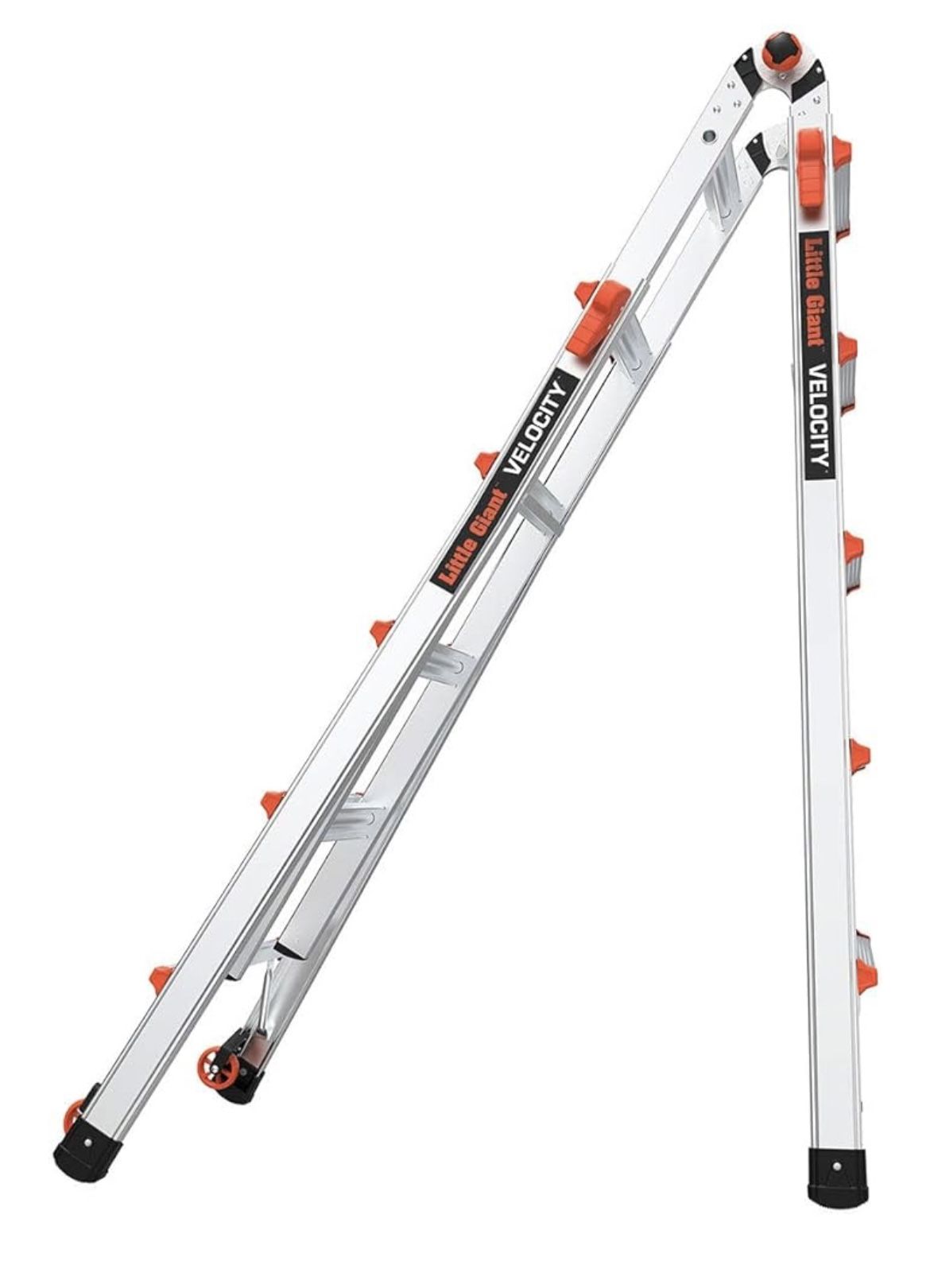 Little Giant Ladder