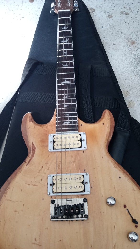 Ibanez Guitar And Brand New Gibson Gig Bag