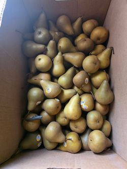 Pears