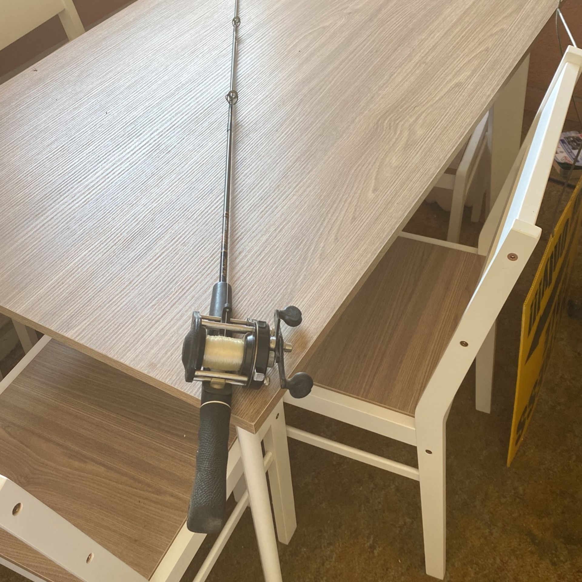 Fishing Pole with Casting Reel