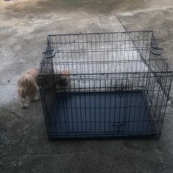 Jaula Para Mascota 