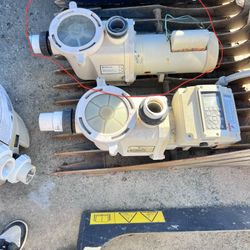 Pool Pump